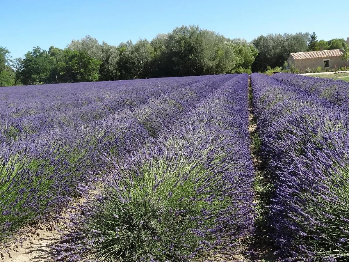 Le Mas Fanny Gordes France