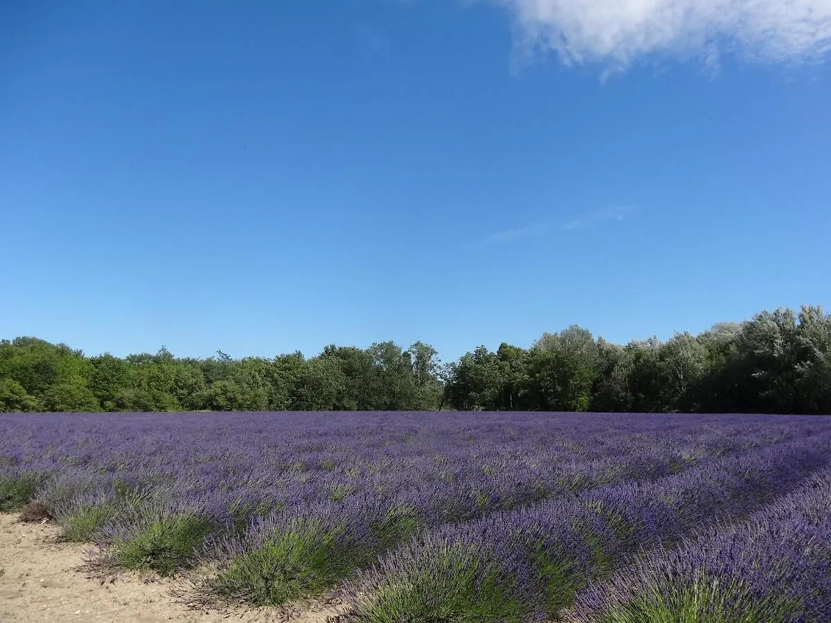 Villa Le Mas Fanny Gordes France